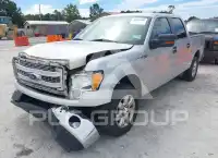 2013 Ford F-150 photo