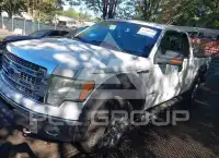 2013 Ford F-150 photo