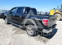 2013 Ford F-150 photo