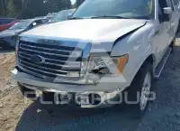 2013 Ford F-150 photo