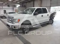 2013 Ford F-150 photo
