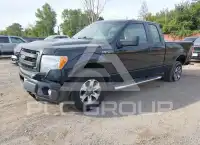 2013 Ford F-150 photo