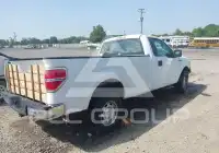 2013 Ford F-150 photo