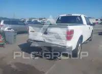 2013 Ford F-150 photo