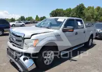 2013 Ford F-150 photo