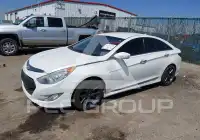 2013 Hyundai Sonata фото