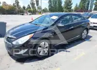 2013 Hyundai Sonata фото