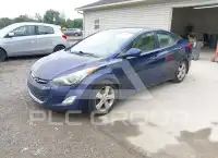 2013 Hyundai Elantra фото