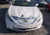 2013 Hyundai Sonata фото
