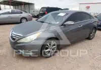 2013 Hyundai Sonata фото