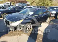 2013 Hyundai Sonata фото