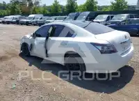 2014 Nissan MAXIMA фото