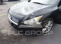 2014 Nissan MAXIMA photo