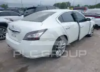 2014 Nissan MAXIMA photo