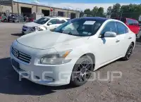 2014 Nissan MAXIMA photo