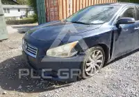 2014 Nissan MAXIMA photo