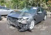 2014 Nissan MAXIMA фото
