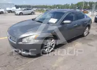 2014 Nissan MAXIMA фото