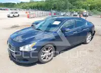 2014 Nissan MAXIMA photo