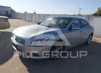 2014 Nissan MAXIMA photo