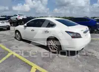 2014 Nissan MAXIMA photo