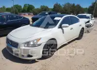 2014 Nissan MAXIMA photo