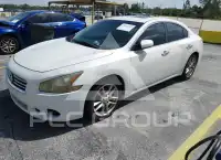 2014 Nissan MAXIMA photo
