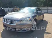 2014 Nissan MAXIMA фото