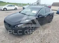 2014 Nissan MAXIMA фото