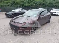 2014 Nissan MAXIMA фото