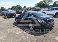 2014 Nissan MAXIMA photo