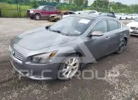 2014 Nissan MAXIMA photo