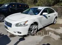 2014 Nissan MAXIMA photo
