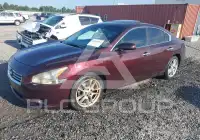 2014 Nissan MAXIMA фото