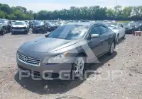 2014 Nissan MAXIMA фото