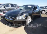 2014 Nissan MAXIMA фото