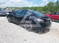 2014 Nissan MAXIMA photo