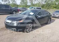 2014 Acura TL фото