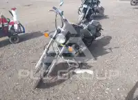 2014 Honda VT750 photo