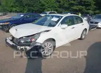 2014 Honda Accord photo