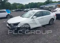 2014 Honda Accord photo
