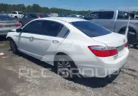 2014 Honda Accord photo