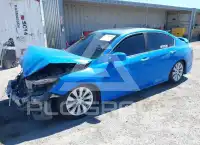 2014 Honda Accord photo