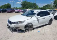 2014 Honda Accord photo