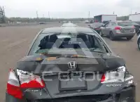 2014 Honda Accord фото