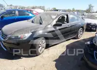 2014 Honda Accord фото