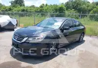 2014 Honda Accord photo