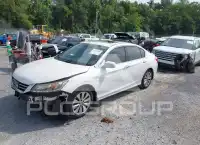 2014 Honda Accord фото