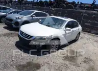 2014 Honda Accord photo