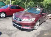 2014 Honda Accord фото